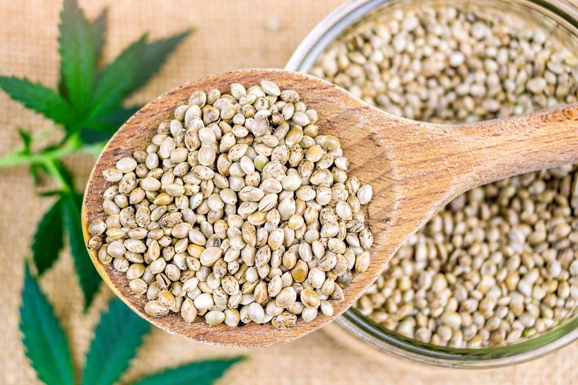 best cannabis seeds
